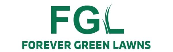 Artificial Turf Lawn Brush Sweeper, Brush & Collect Pro+ USA, *Cleaning & REVITALISING Turf*