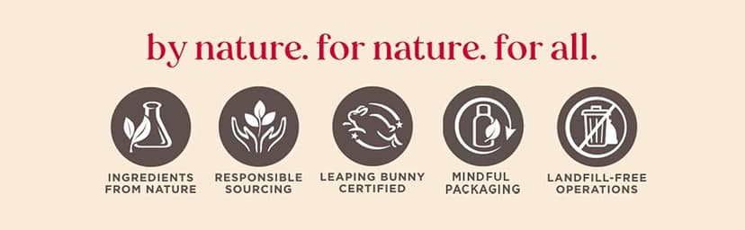 Burt's Bees Gifts Ideas - Essential Everyday Beauty Set, 5 Travel Size Products - Deep Cleansing Cream, Hand Salve, Body Lotion, Foot Cream and Lip Balm