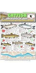 Ice Fishing Chart #14 - Waterproof Quick Reference Fishing Guide - (Rigs, Baits, Safety & Techniques) - Double-Sided & Easy to Read - Great Gift for Beginners