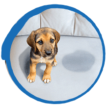 Miss Mouth's Messy Eater Stain Treater Spray - 4oz Stain Remover - Newborn & Baby Essentials - No Dry Cleaning Food, Grease, Coffee Off Laundry, Underwear, Fabric