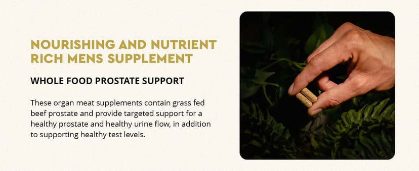 Ancestral Supplements Ancestral Supplements Mofo, Supplements for Men, Support for Energy Levels and Overall Men's Health and Wellness, Non-GMO Grass Fed Beef Organ Supplement with Liver, No Fillers, 180 Capsules