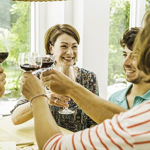 Window Bird Feeder with Non-Marking Self-Adhesive Hooks, Clear and Transparent, Outdoor Wild Bird Watching Gift, Garden Decor (Standard)