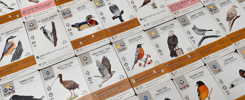 Stonemaier Games: Wingspan (Base Game) by Elizabeth Hargrave | A Relaxing, Award-Winning Strategy Board Game About Collecting Birds for Adults and Family | 1-5 Players, 70 Mins