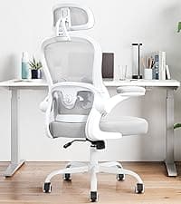 Ergonomic Office Chair,Ultra Thick Office Desk Chair with Adjustable Lumbar Support and Headrest,Spring Cushion,Rocking Function,Flip-up arms,Mesh Computer Chair for Home Office,Grey