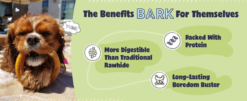 Pawstruck All-Natural 4" Bully Stick Rings for Dogs - Rawhide-Free, 100% Beef, Single Ingredient Dental Chew Bones - Fully Digestible, Low Odor - 10 Count - Packaging May Vary