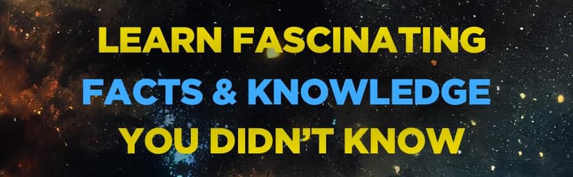 Rare and Unusual Knowledge: Extraordinary Facts About Everyday Things (Facts and Knowledge) B0DNCTFWLZ