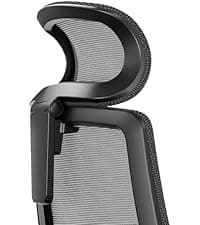Branch Ergonomic Chair - A Versatile Desk Chair with Adjustable Lumbar Support, Breathable Mesh Backrest, and Smooth Wheels - Experience Optimal Comfort and Support - Graphite - White
