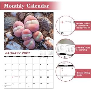 Gag Gifts - White Elephant Gag Gifts Calendar 2027, Nature Butts Calendar 2027 from January to December, 11'' x 8.5'', Gag Gift for White Elephant B0D9GBGSMZ