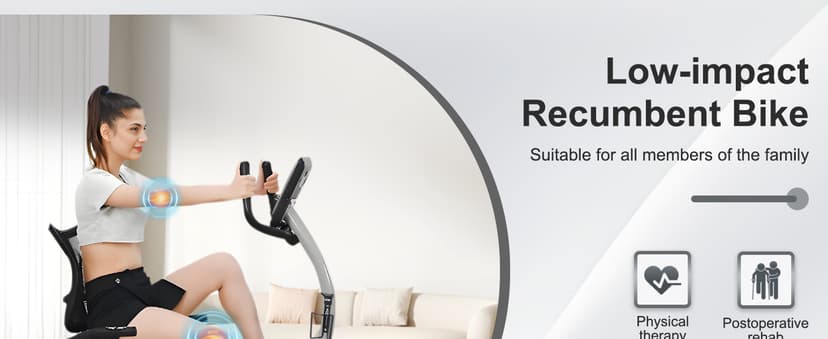 Recumbent Exercise Bike for Seniors - 400LB Weight Capacity Recumbent Bikes with Comfortable Seat, Pulse Sensor, 16-level Resistance, LCD Monitor