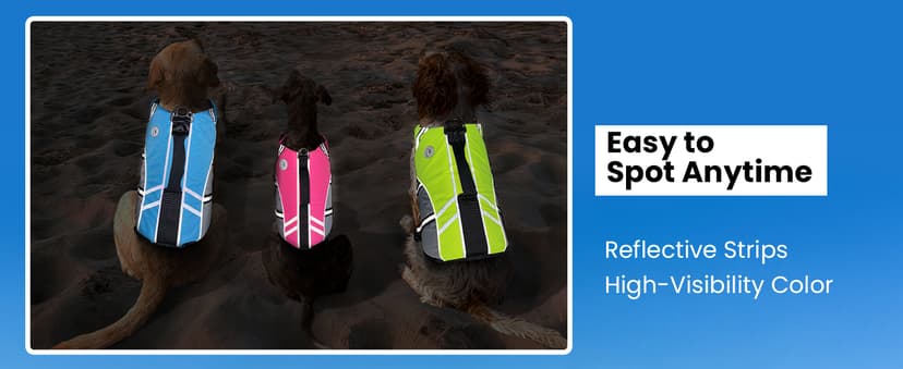 VIVAGLORY Sports Style Dog Life Vest, Dog Life Jacket for Swimming & Boating, Ripstop & Buoyancy for Puppy Doggy, Lifejacket with Handle, M, Blue