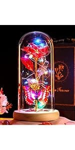 Beferr Christmas Rose Gifts for Women Mom Birthday Gifts, Galaxy Glass Rose Forever Preserved Flowers for Delivery Prime Light Up Rose in Glass Dome with Butterfly Xmas Gifts for Grandma Her Wife