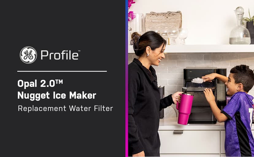 GE Profile Opal Carbon Replacement Water Filter for Opal Nugget Ice Maker | Cleans and Filters Water for Fresh Ice | Replace Every 3 Months for Best Results | Easy Install | Pack of 1