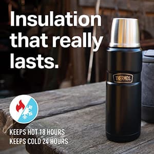 THERMOS Stainless King Vacuum-Insulated Compact Bottle, 16 Ounce, Matte Steel