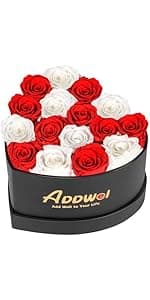 ADDWel Birthday Gifts for Mom from Daughter and Son, Unique Mother Birthday Gift Idea, Preserved Real Roses with I Love You in 100 Languages Mom Necklace, Cool Present to Mother Mama