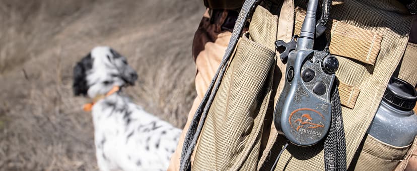 SportDOG FieldTrainer 425X - Remote Trainer Designed for Off-Leash Control & Training - 500-Yard Range - Waterproof - Quick Charge-Collar with 21 Levels of Static, Tone, & Vibration