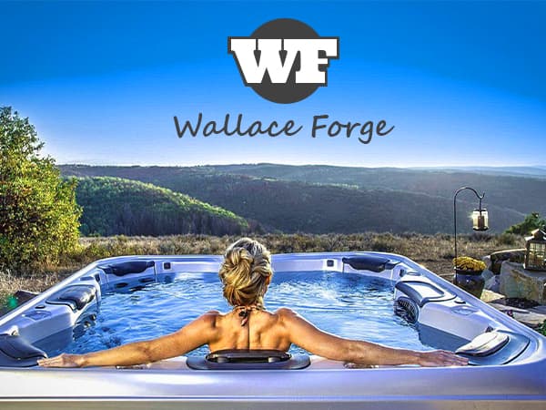 Spa Vacuum Compatible with 6250 Paradise Power - Self-Contained, No Pumping, Batteries - Picks up Rocks, Pennies, Beach Sand in Hot Tub, Above Ground Pool