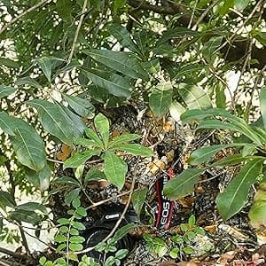 SCYLFEHDP Ghillie Suit, 3D Leafy Ghillie Suit and Camo Suit, Ghillie Suit for Men, Camouflage Suits, Turkey Hunting, Lightweight Gear Hunting Clothes for Outdoor Woodland and Halloween.