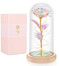 Beferr Gifts for Women Mom Galaxy Rose Glass Crystal Flowers with Heart-Shaped Base Eternal Roses Forever Flowers Mother's Birthday Gifts for Grandma Daughters Wife Sister Kids