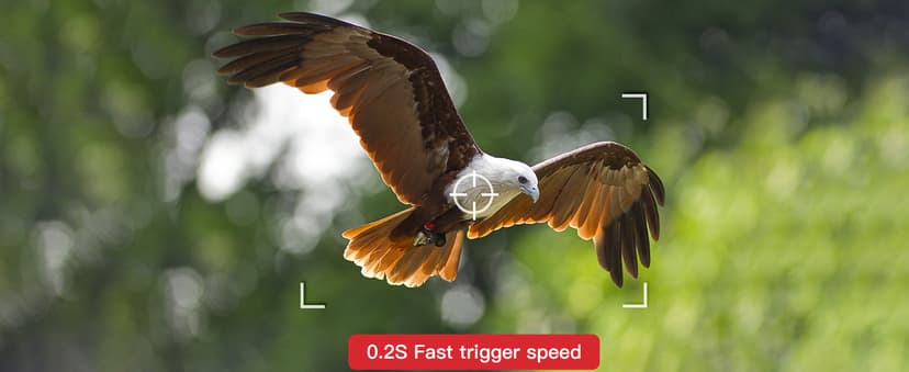 Trail Camera 2 Pack 36 MP 2.7K Game Camera 32GB Memory Card 4 Batteries Time 2.0" LCD Screen, Trail Cameras with 120°Wide Night Vision IP66 Waterproof for Monitoring Wildlife Trail Cam