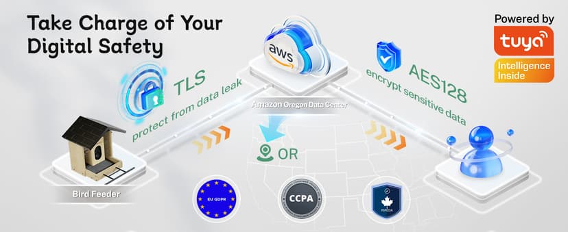 TT Nature Bird Feeder with Camera, Upgraded 1.5L Smart Birdhouse Al Identify for 10000 Plus Species, Auto Capture & Real-time Notifications, Ideal Gift for Bird Lovers (Iron Roof)