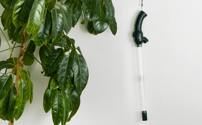 New Rechargeable Spider Catcher Vacuum Strong Suction Blows Insects Back Out Long Handle Humane Insect Bug Spiders Moth Wasp Trap Home Indoors Traps