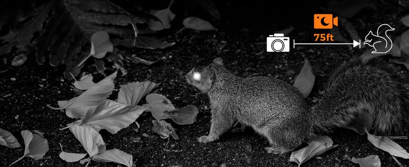 GardePro E6 WiFi Trail Camera (Non-Cellular), Stable WiFi with External Antenna, On-Site App Viewing, 64MP 1296P HD, No-Glow Night Vision, Motion Activated Waterproof Game Camera