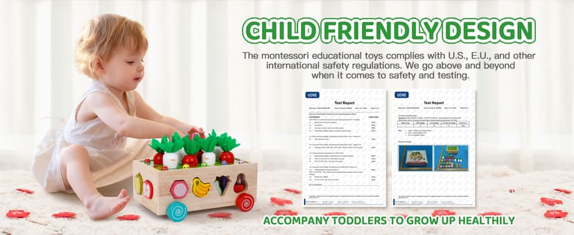 Toddlers Montessori Wooden Educational Toys for Baby Boys Girls Age 1 2 3 Year Old, Shape Sorting Toys 1st One First Birthday Girl Gifts for Kids 1-3, Wood Preschool Learning Fine Motor Skills Game