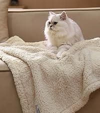 1 Pack 3 Blankets Super Soft Fluffy Premium Fleece Pet Blanket Flannel Throw for Dog Puppy Cat Paw Brown/Pink/White Small(23x16 inch)