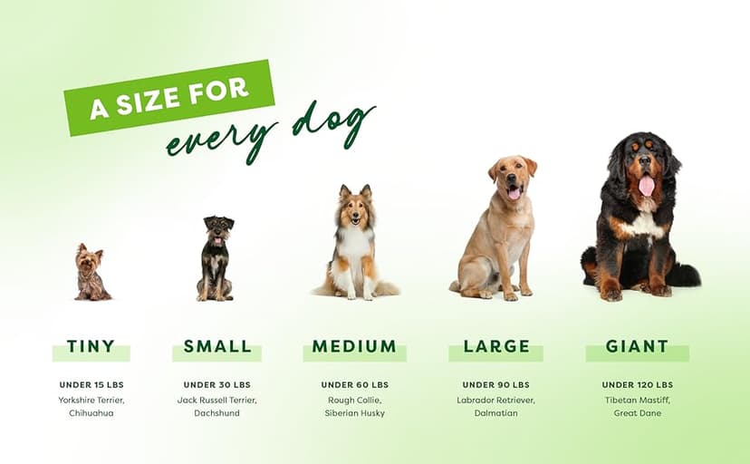 Benebone Medium 4-Pack Dog Chew Toys for Aggressive Chewers, Made in USA, 60lbs and Under