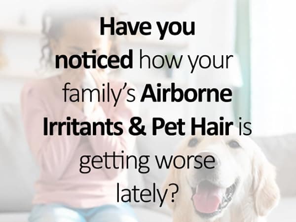 Prolux Tritan Bagged Canister Vacuum Cleaner with Sealed HEPA Filtration, 5-Speed Motor, Best Rated Canister for Pet Hair and Home Cleaning