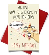 Cheerin Anniversary Day Cards for Him and Her - Romantic Greeting Card with Envelope - Sweet Birthday Card for Husband Wife Girlfriend Boyfriend