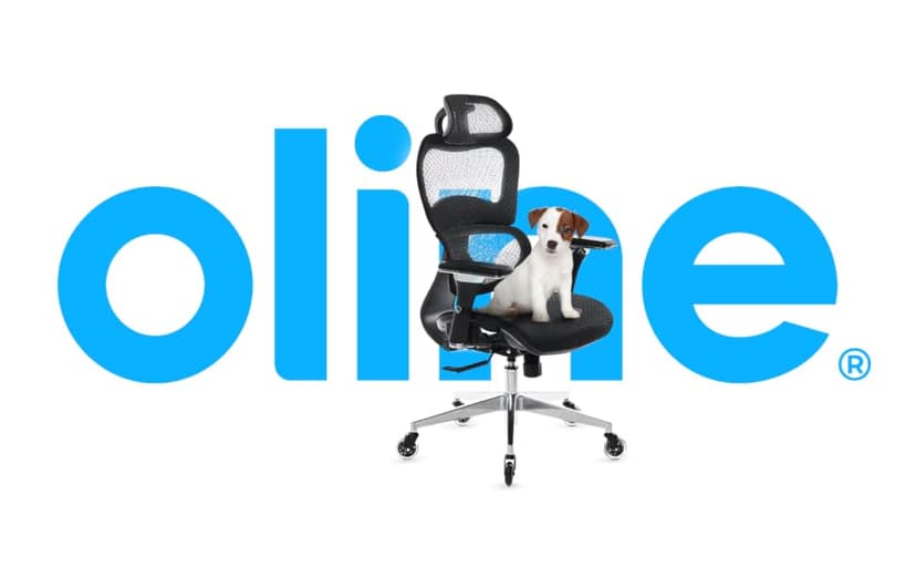 Oline ErgoPro Ergonomic Office Chair, Rolling Desk Chair with 4D Adjustable Armrest, 3D Lumbar Support, Blade Wheels, Mesh Computer Gaming Executive Swivel Chairs Chair (Black)