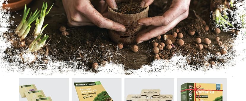 Bonsai Starter Kit - Gardening Easter Gift for Women & Men - Bonsai Tree Growing Garden Crafts Hobby Kits for Adults, Unique DIY Hobbies for Plant Lovers - Unusual Christmas Gifts Ideas