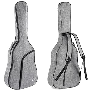 WINZZ AC309CE 39 Inches Cutaway Nylon-string Classical Electric Guitar Build-in Pickup Kit Set Online Lessons, Blue