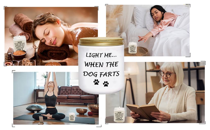 BFJLIFE Funny Gifts for Women Unique Dog Mom Dog Lovers Christmas Birthday Gifts for Her Sister Best Friend Girlfriend Wife Stocking Stuffers Light Me When Farts Lavender Scented Soy Candles