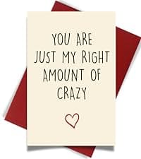 Cheerin Anniversary Day Cards for Him and Her - Romantic Greeting Card with Envelope - Sweet Birthday Card for Husband Wife Girlfriend Boyfriend