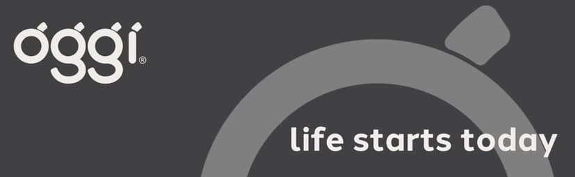 OGGI Professional 3-Bottle Revolving Liquor Dispenser, Stainless Steel