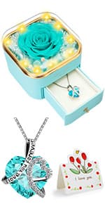 Preserved Red Real Rose with Heart I Love You Necklace -Eternal Flowers Rose Birthday Gifts for Women Her Mom Wife Girlfriend Grandma on Valentines Mothers Day Christmas Anniversary Romantic-Red