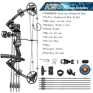 Compound Bow Set 15-45lbs for Pull Beginner and Teens Right Handed Adjustable 18"-29" Draw Length, 320 FPS Speed, Hunting Bow Archery Set New 2024