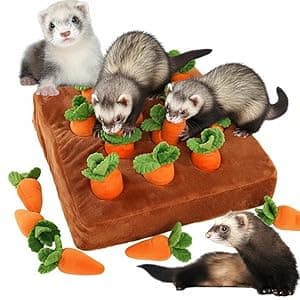 Ferret Foraging Toys Novelty Carrot Snuffle Mat Interactive Pet Treat Enrichment Toys for Small Animals Bunny Rabbit Chinchilla Guinea Pig Hamster (12Carrot)
