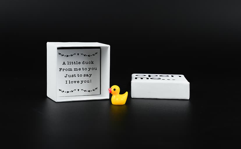 I Love You Gift, Duck Gift, Matchbox Gift, Gift For Boyfriend, Gift For Girlfriend, Valentine's Day Gift