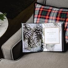 The Gift of Jesus: Meditations for Christmas