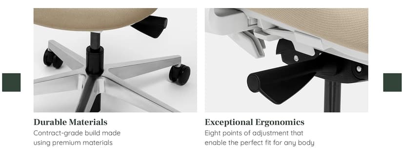 Branch Ergonomic Chair - A Versatile Desk Chair with Adjustable Lumbar Support, Breathable Mesh Backrest, and Smooth Wheels - Experience Optimal Comfort and Support - Graphite - White