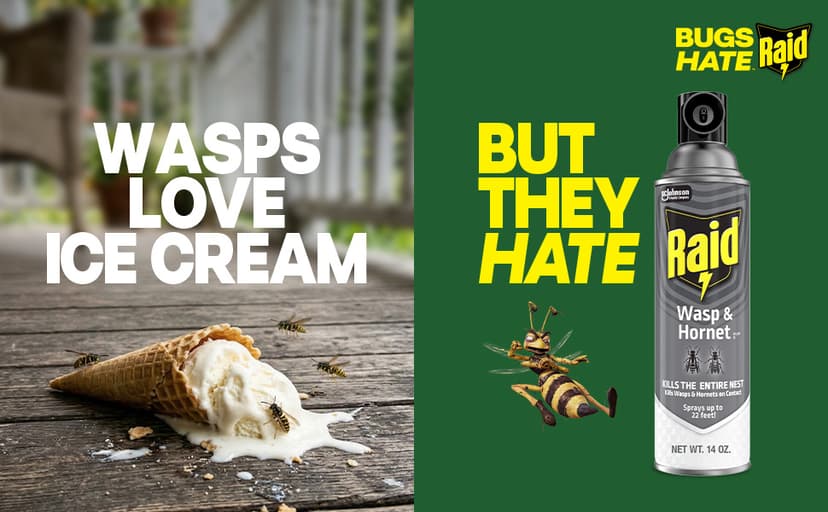 Raid Wasp & Hornet Killer Spray, Kills the Entire Nest, For Paper Wasps, Yellow Jackets, Mud Daubers and more, 14 oz (Pack of 2)