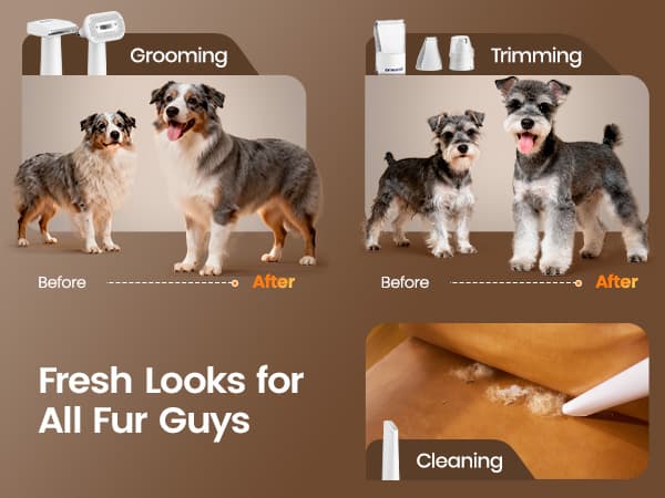 oneisall Dog Grooming Vacuum, 15000Pa Pet Vacuum Kit Shedding 99% Pet Hair, Dog Grooming Clippers with Trimmer Nail Grinder, ≤ 59dB Quiet Brush with 6 Tools, 2L Canister for Home Cleaning,Cozy SE 2