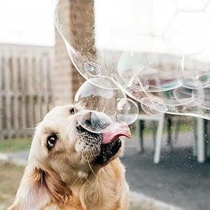 Puppy Love Bubbles, Peanut Butter & Bacon Scented Bubbles 4oz. Bottle-2 Pack Combo (1 Peanut Butter/1 Bacon) for Dogs B0913CYKF2