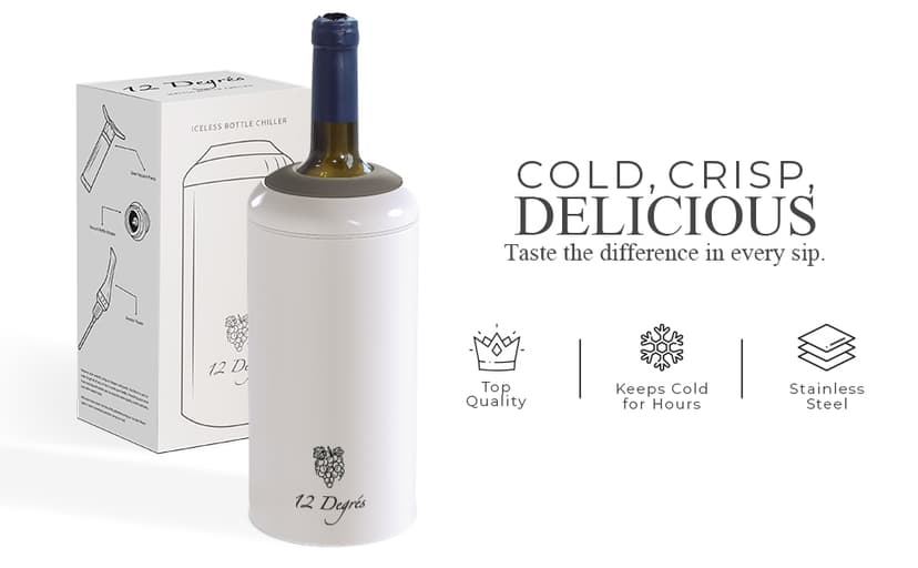 Wine Chiller Set - Perfect Wine Gifts for Women & Men - Stainless Steel Insulated Wine Cooler with Wine Pump, Aerator & 4 Stoppers (Silver)