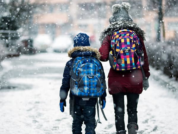 LCXSHYE Winter Ear muffs Faux Fur Warm Earmuffs Cute Foldable Outdoor Ear Warmers For Women Girls