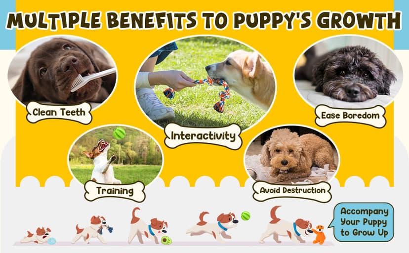 Zeaxuie 9 Pack Luxury Puppy Toys for Teething Small Dogs, Puppy Chew Toys with Cute Squeaky Dog Toys, Ball and More Rope Dog Chew Toys B094XG29MW