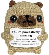 Cute Encouragement Gift for Coworker or Friend Women Men with Support Message Positive Animals Crochet Shark Gift – Mini Emotional Shark Plush B0D2J3GPLD